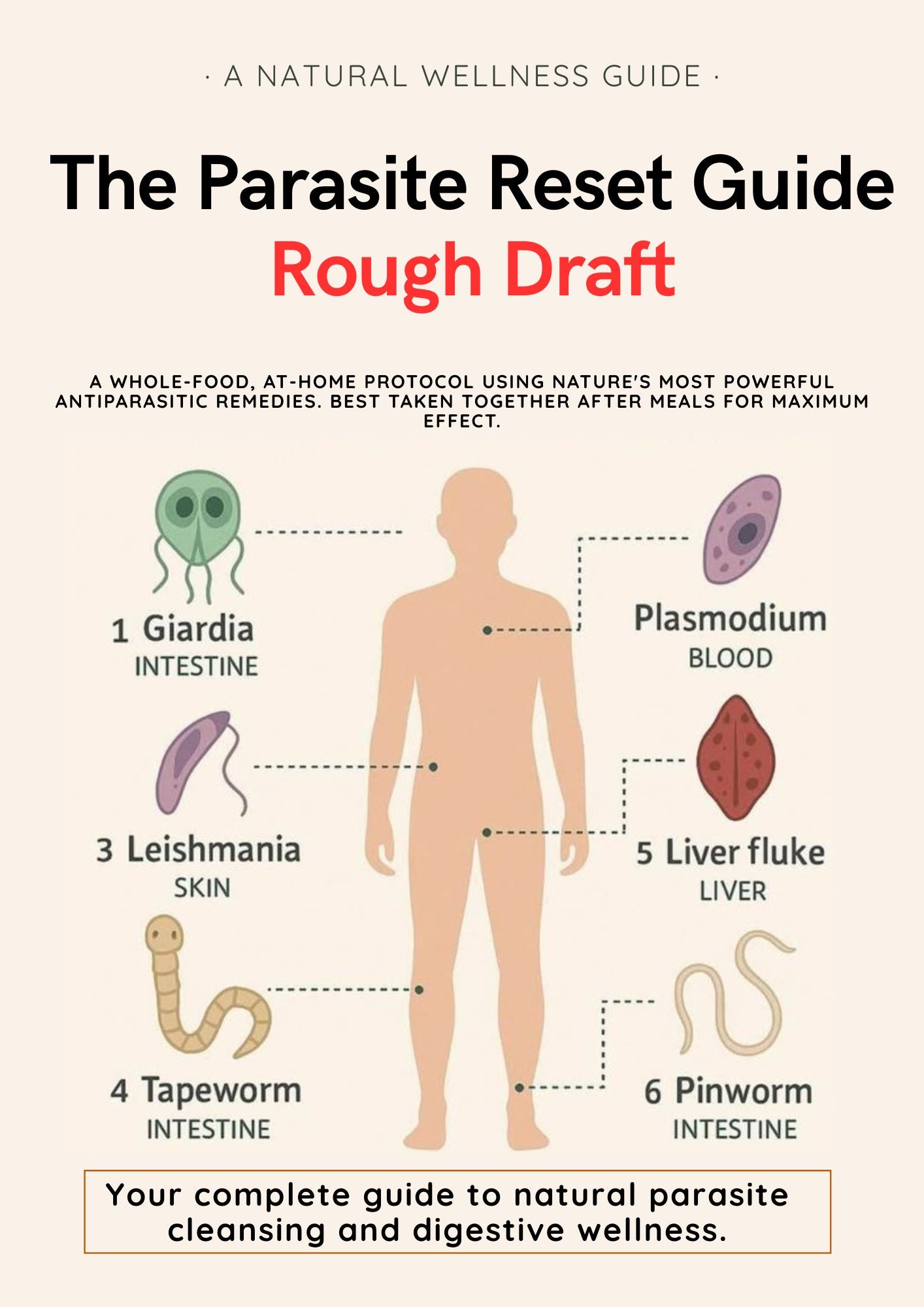 The Parasite Reset Guide